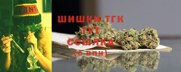 прущие крисы Белокуриха