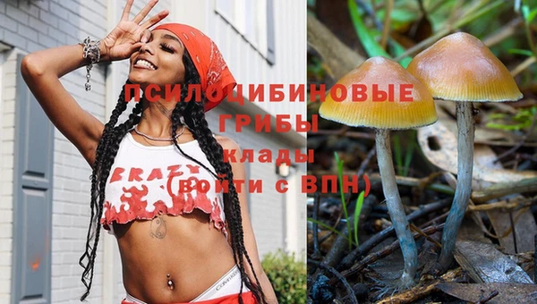 прущие крисы Белокуриха