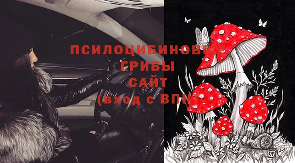 ECSTASY Белоозёрский