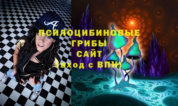ECSTASY Белоозёрский