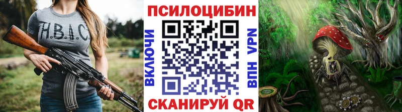 Псилоцибиновые грибы Psilocybine cubensis  Ахтырский 