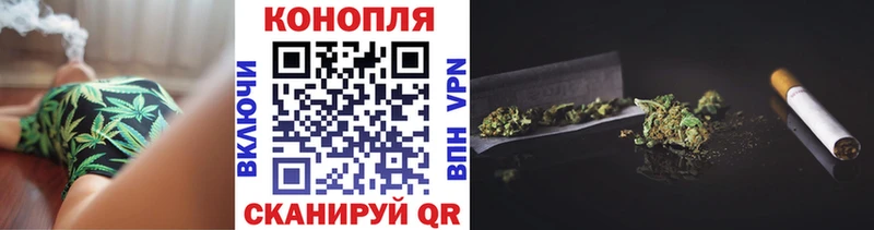 Бошки Шишки марихуана  Ахтырский 